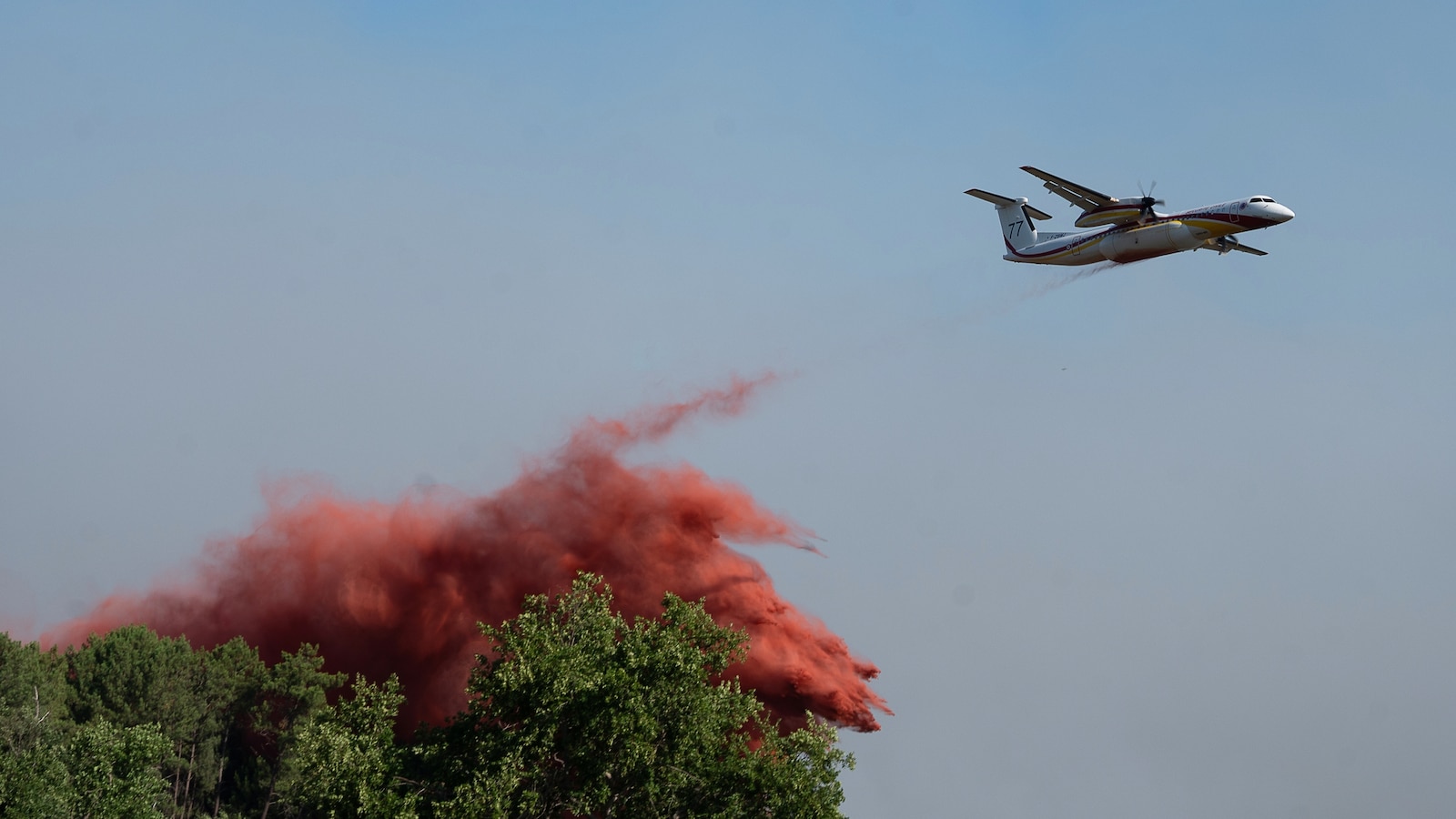 Spain's Wildfires Trigger Mass Evacuations: What You Need to Know