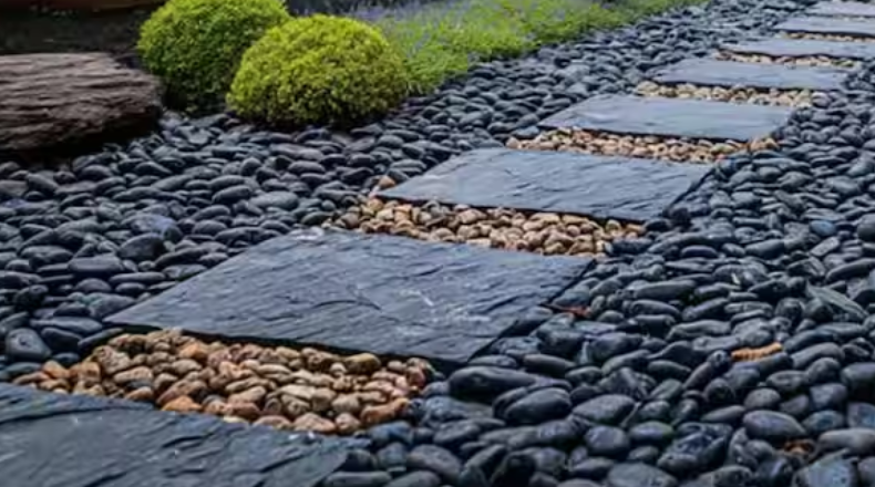 Uncovering the Mystery of Strange Black Objects in Your Backyard