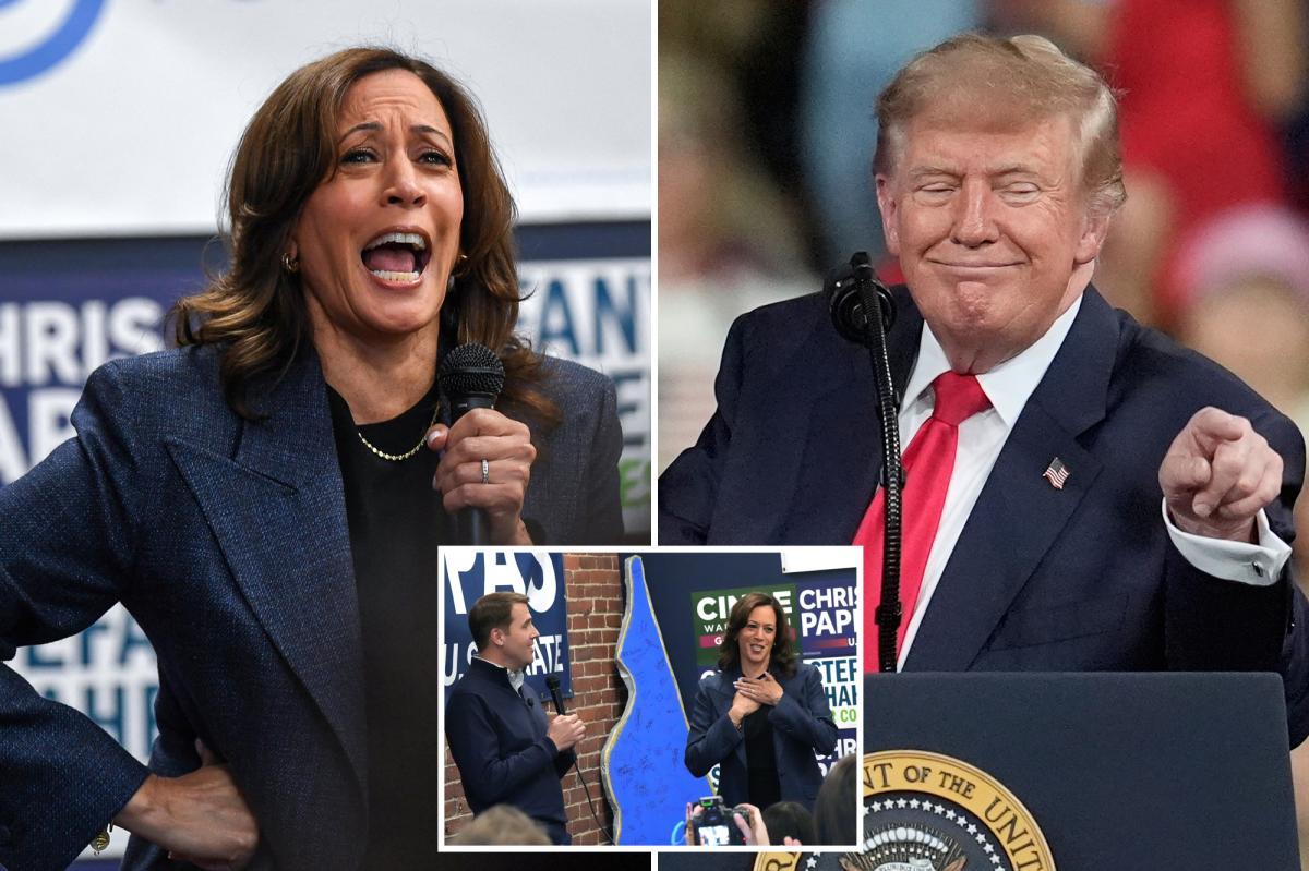 Kamala Harris Turns Post-Election Frustration into Rallying Cry in New Hampshire