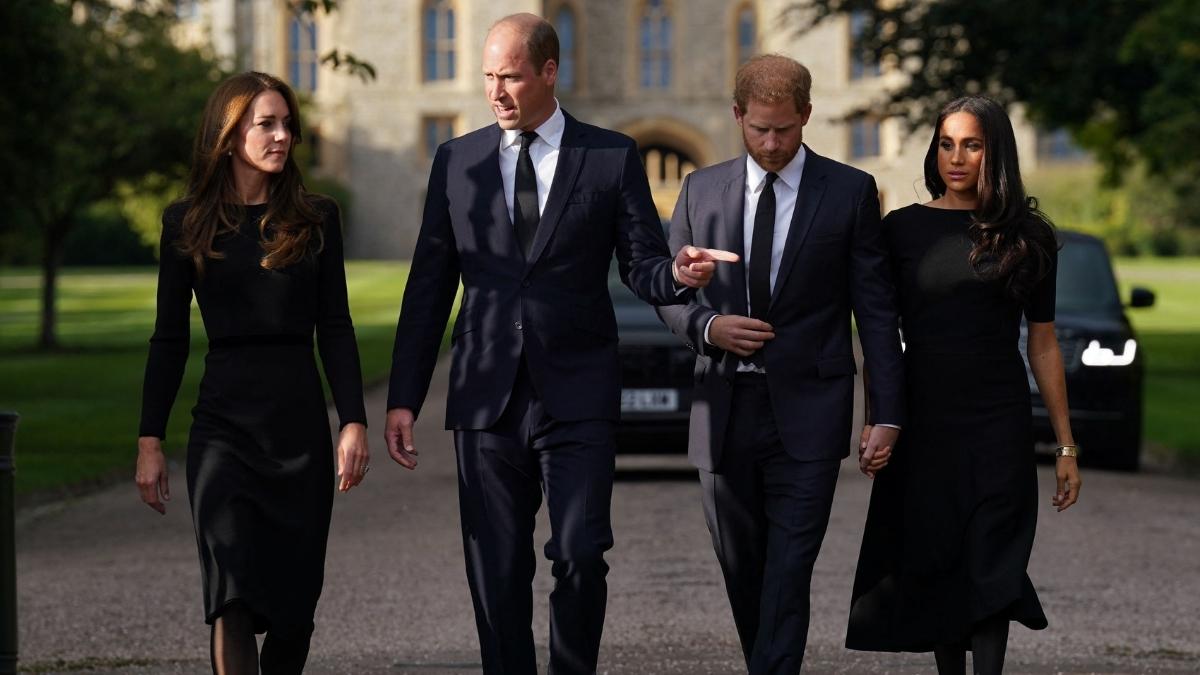Prince William's Reaction to Meghan Markle's Remark Unveiled