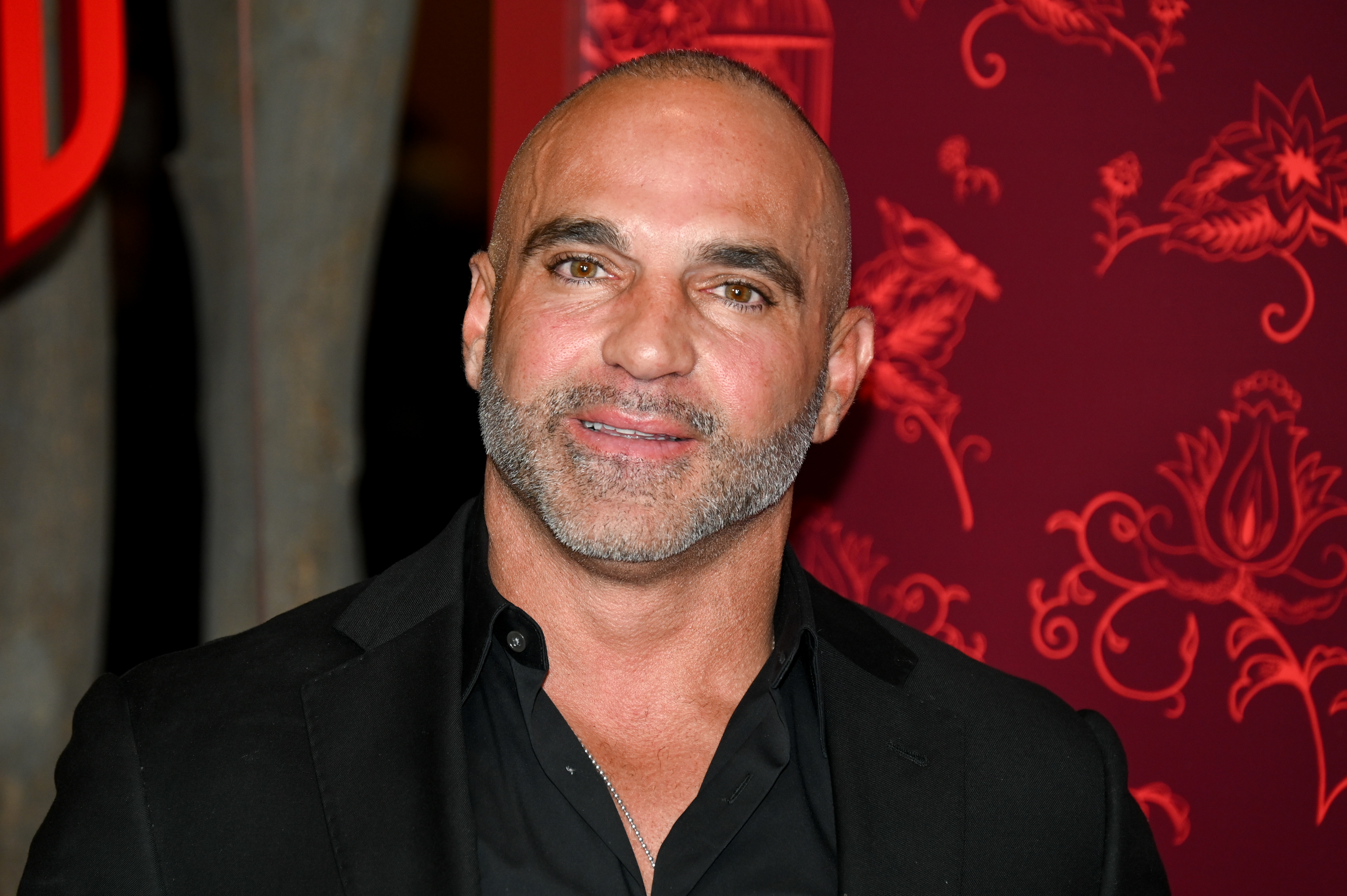 Is Joe Gorga Joining Harry Jowsey on a New Hulu Reality Show?