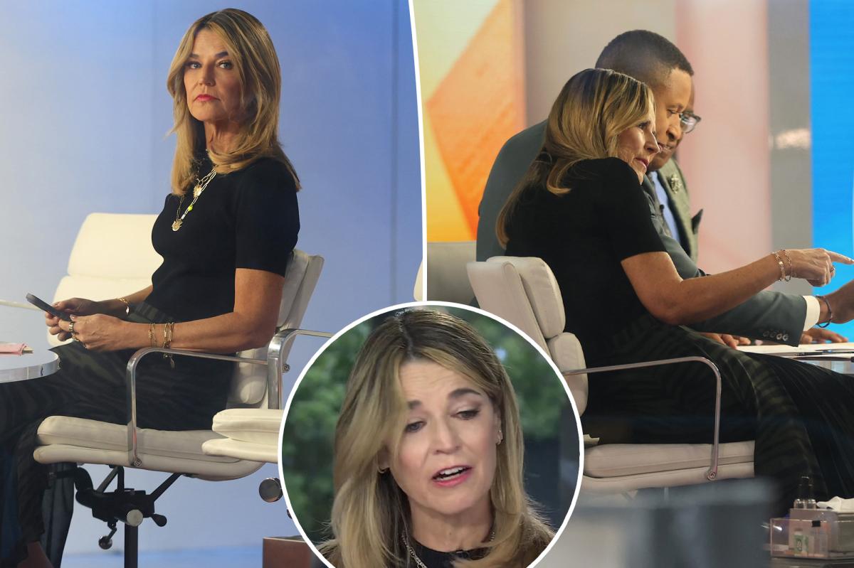 Savannah Guthrie's Emotional Breakdown on 'Today' Sparks Public Support