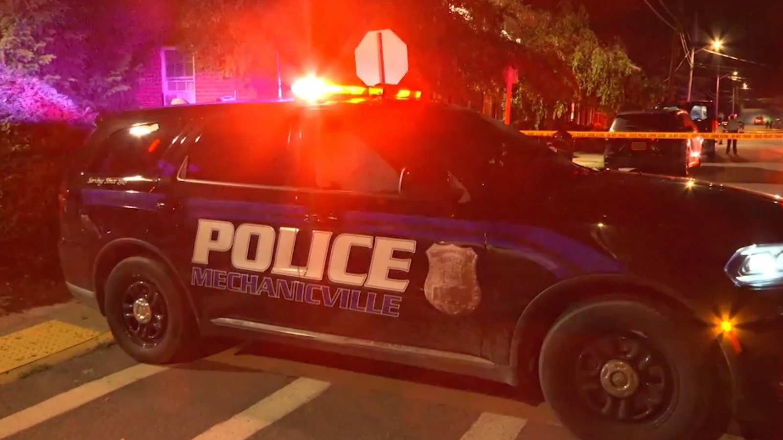 Grandmother at Center of Tragic New York Family Deaths