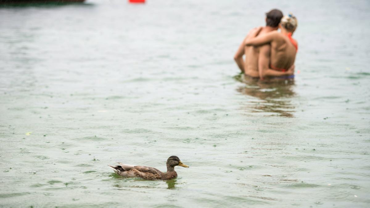 Nach dem Regen steigen die Temperaturen bis Mittwoch auf 21 Grad