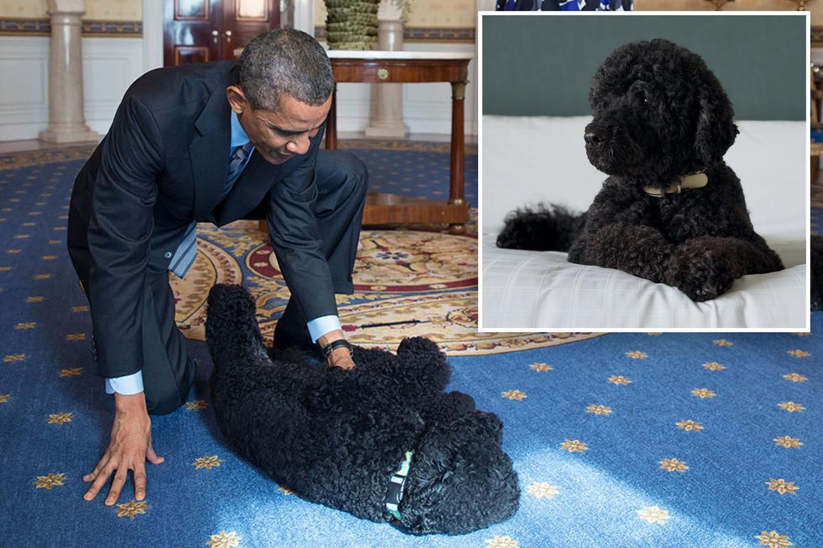 Barack Obama's Heartfelt Tribute to Sunny, the Beloved First Dog
