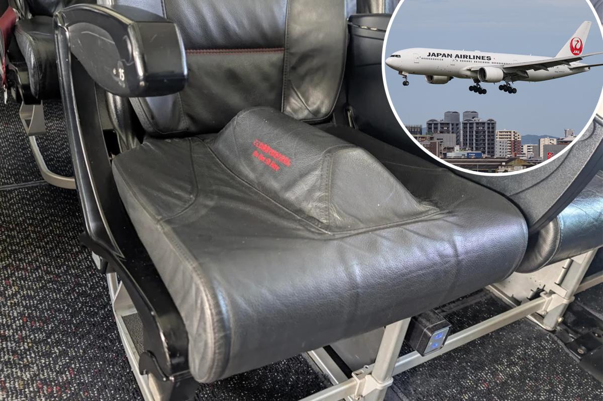 Bizarre 'Cheek Splitter 9000' Airplane Seat Stuns Passengers
