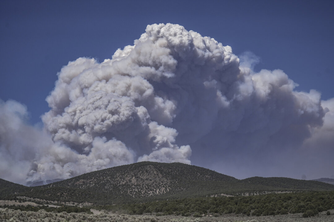 Utah's Largest Wildfire Triggers State of Emergency: What You Need to Know