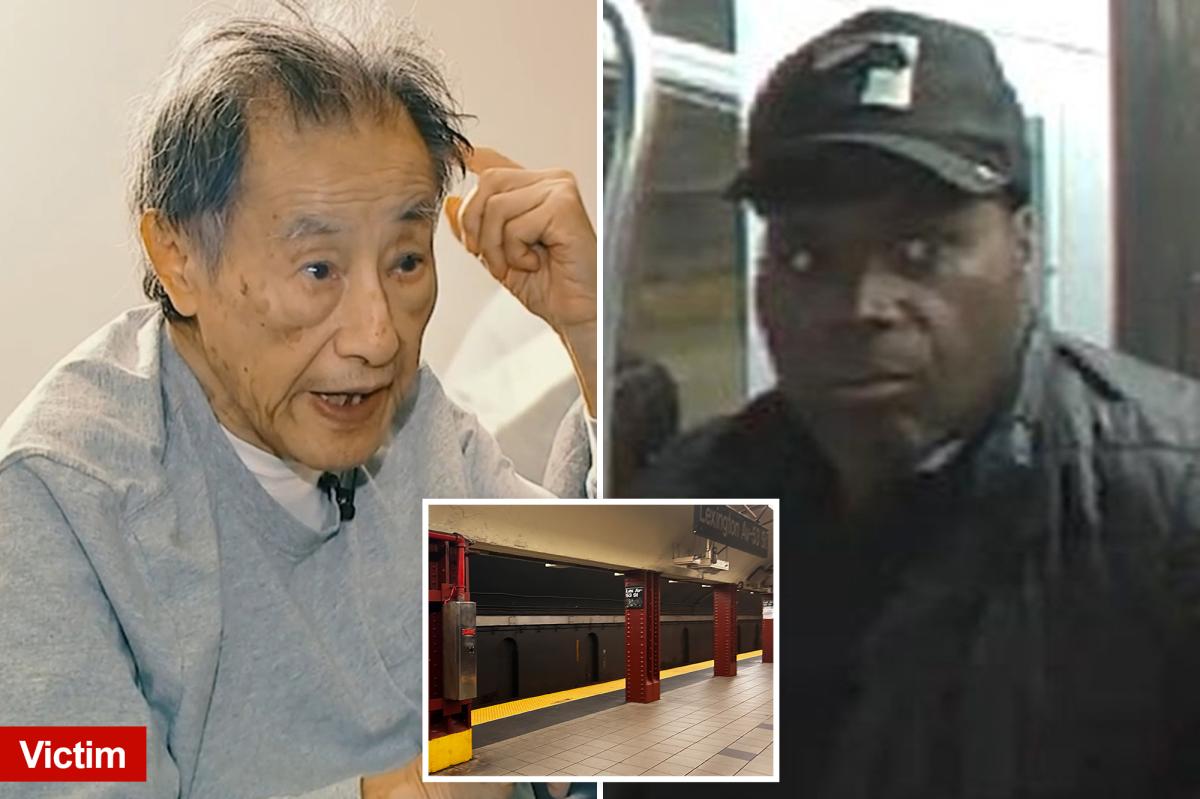 90-Year-Old Astrophysicist Injured in Subway Attack, Requires Hip Replacement