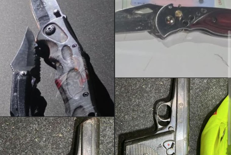 Police Seize Four Firearms and Ammunition in South Mitrovica