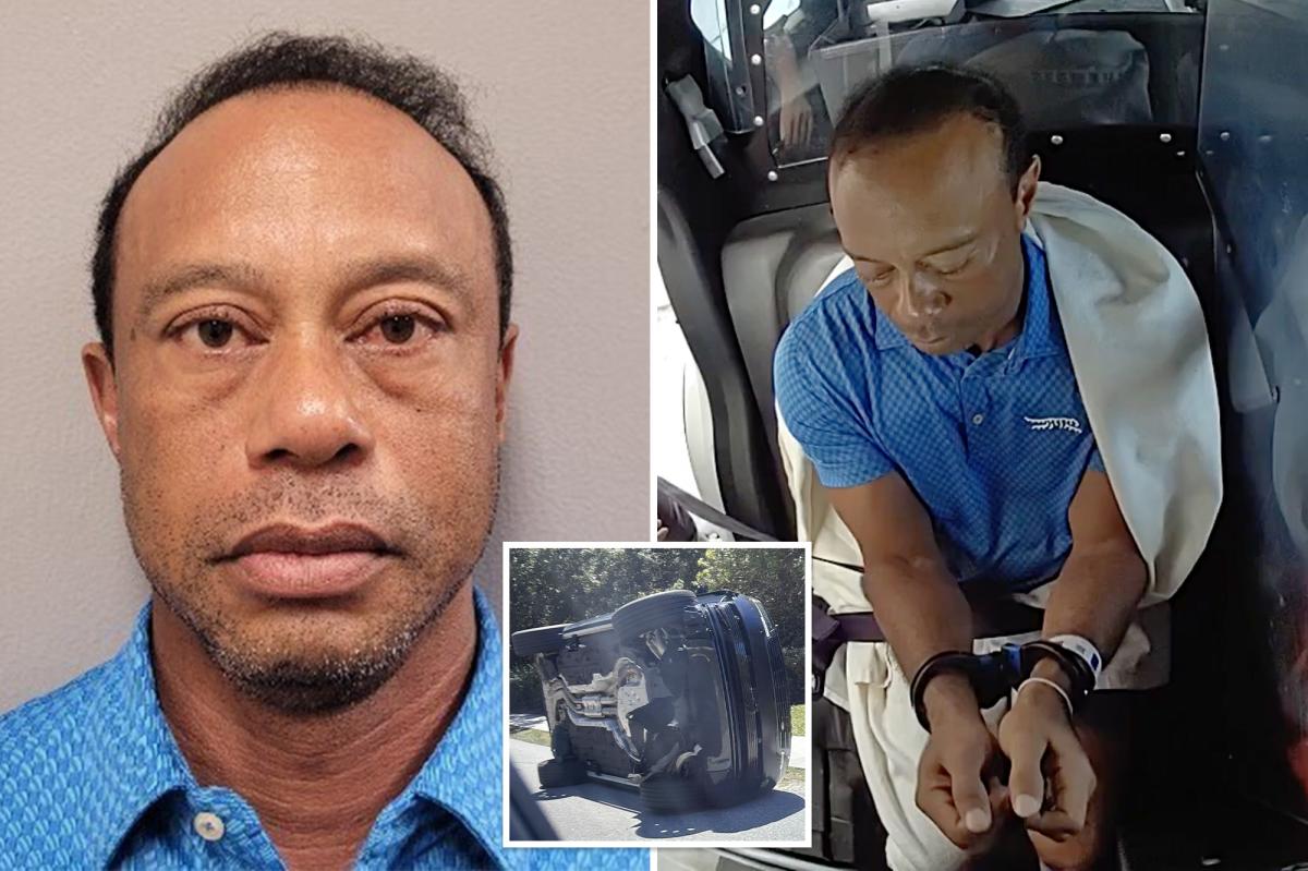 Tiger Woods Faces New Twist in Florida DUI Case