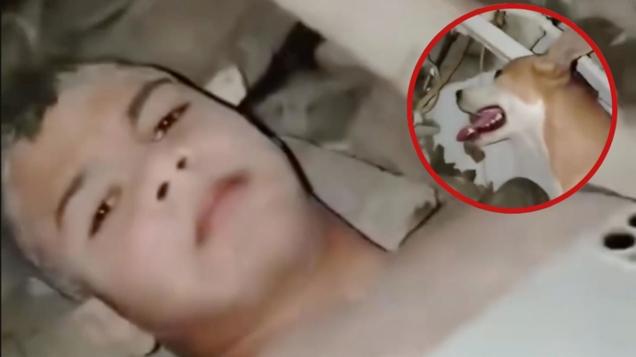 El heroico rescate de un joven venezolano gracias a su perro