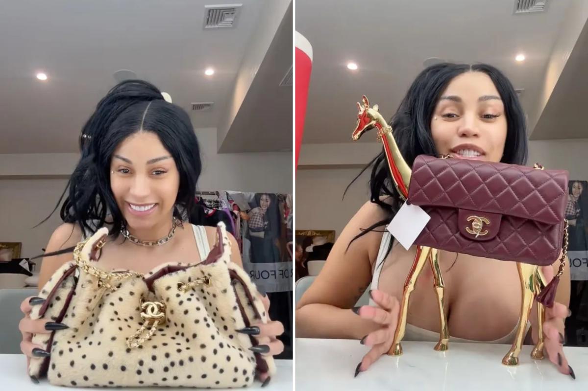 Cardi B's $52K Chanel Haul: The Bag Everyone Wants