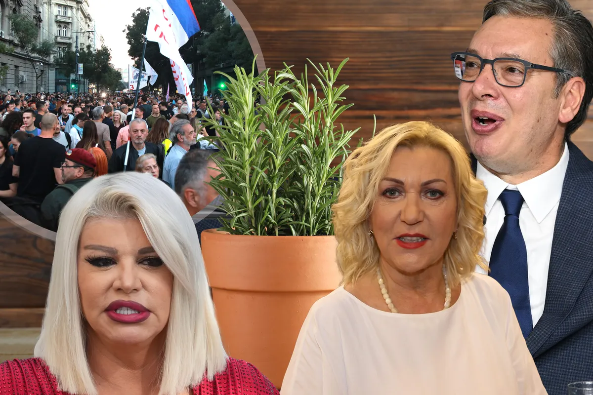 Ruzmarin kao simbol podela: Kako dve pesme oslikavaju politički razdor u Srbiji