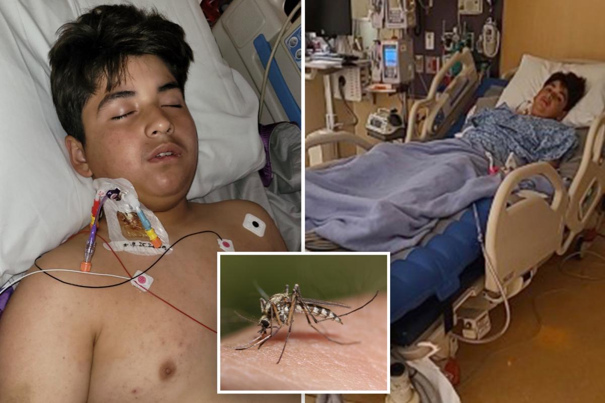 Joseph Vasquez, 13, Faces Rare Crisis After Mosquito Bites