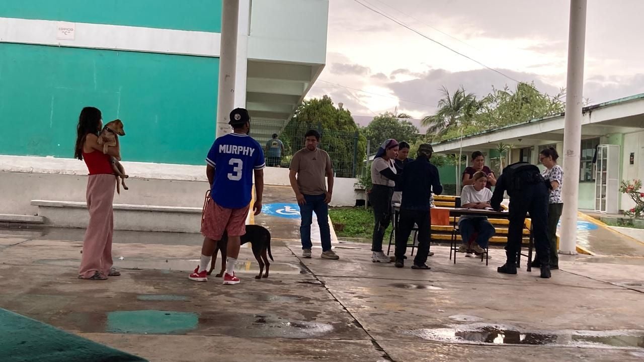 Albergues de Colima reciben a familias con perros y gatos ante el huracán Simon