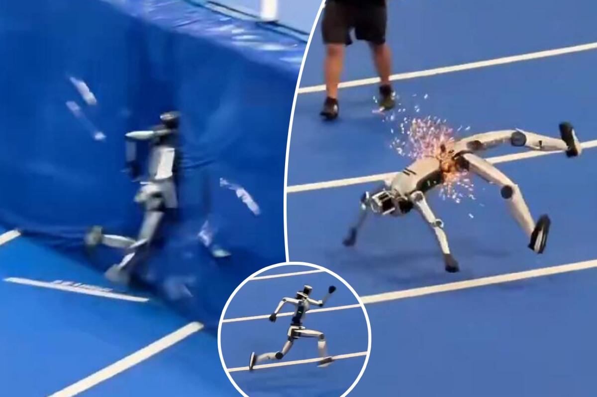 Humanoid Robot's Epic Crash at World Games Sparks Online Frenzy