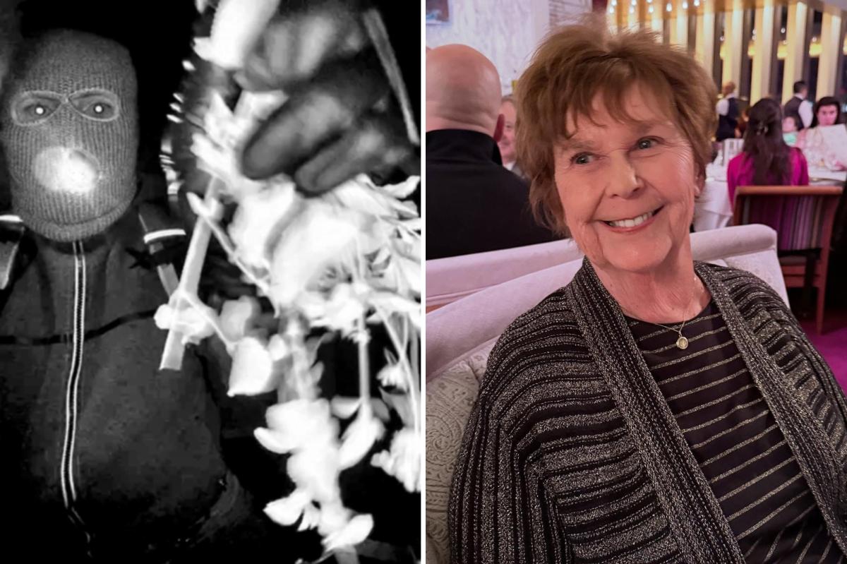 Nancy Guthrie Ransom Note: The Two Clues That Could Solve the Case