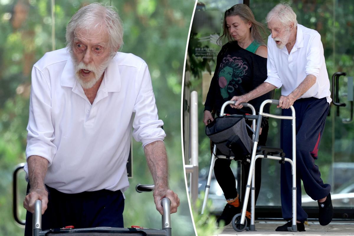 Dick Van Dyke's Rare Outing with Wife Sparks Conversation