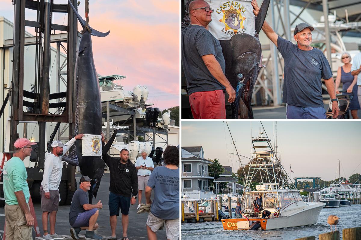 Massachusetts Fishermen Reel in Record-Breaking 1,260-Pound Marlin