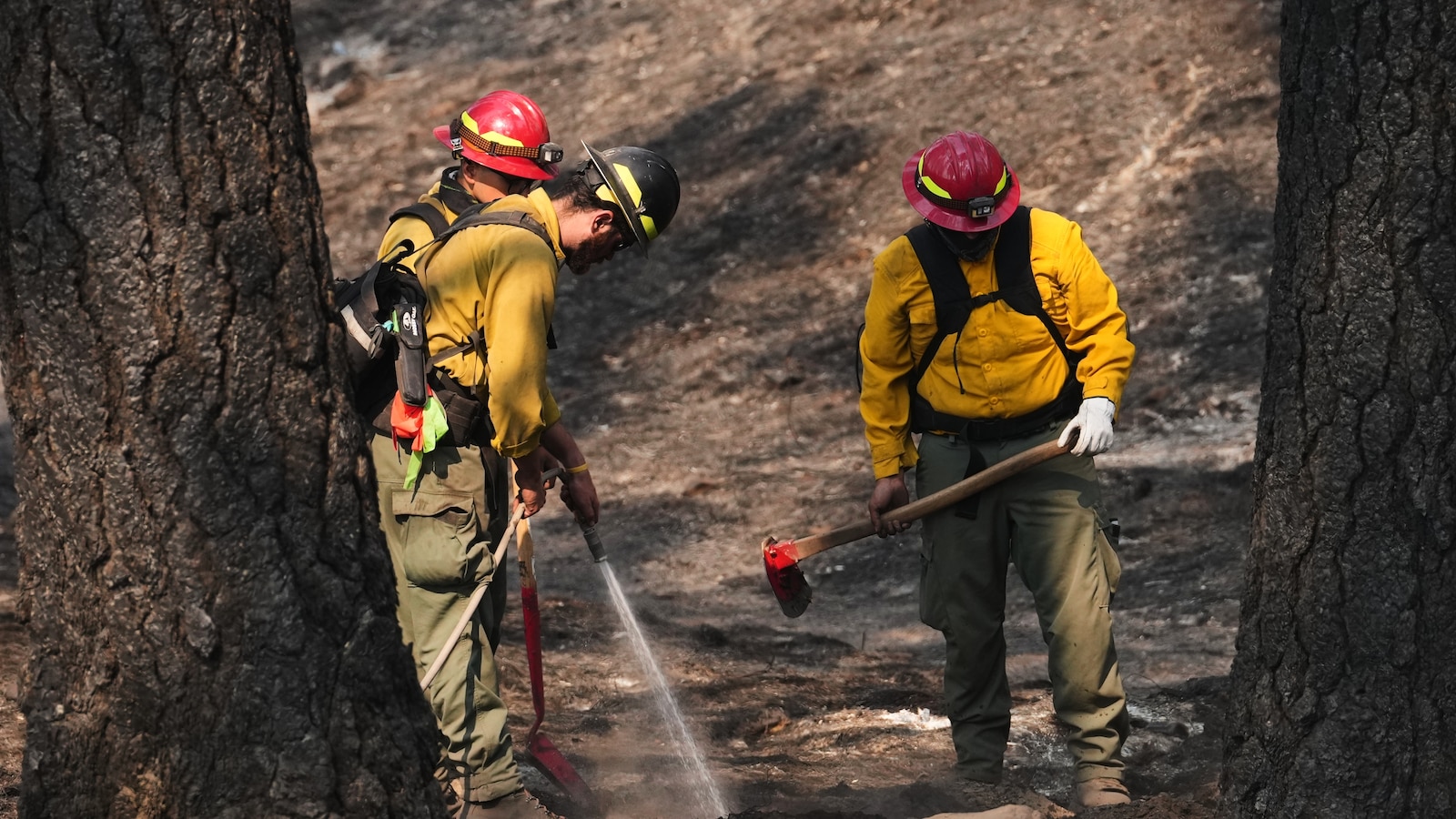 Firefighters' Health at Risk: The Controversial Supplement Debate