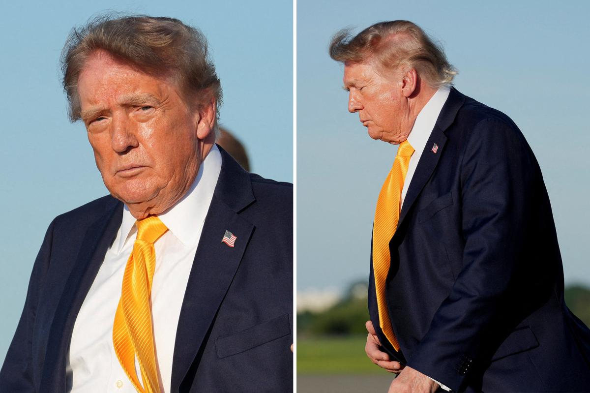 Trump's New Brown Hairdo Shocks the Internet