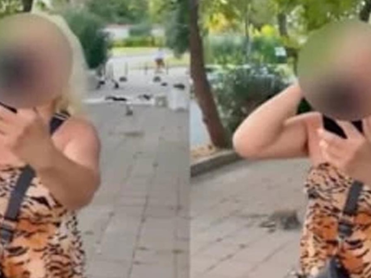 Sokak Kedilerini Besleyen Kadın Neden Psikiyatri Kliniğine Yatırıldı?