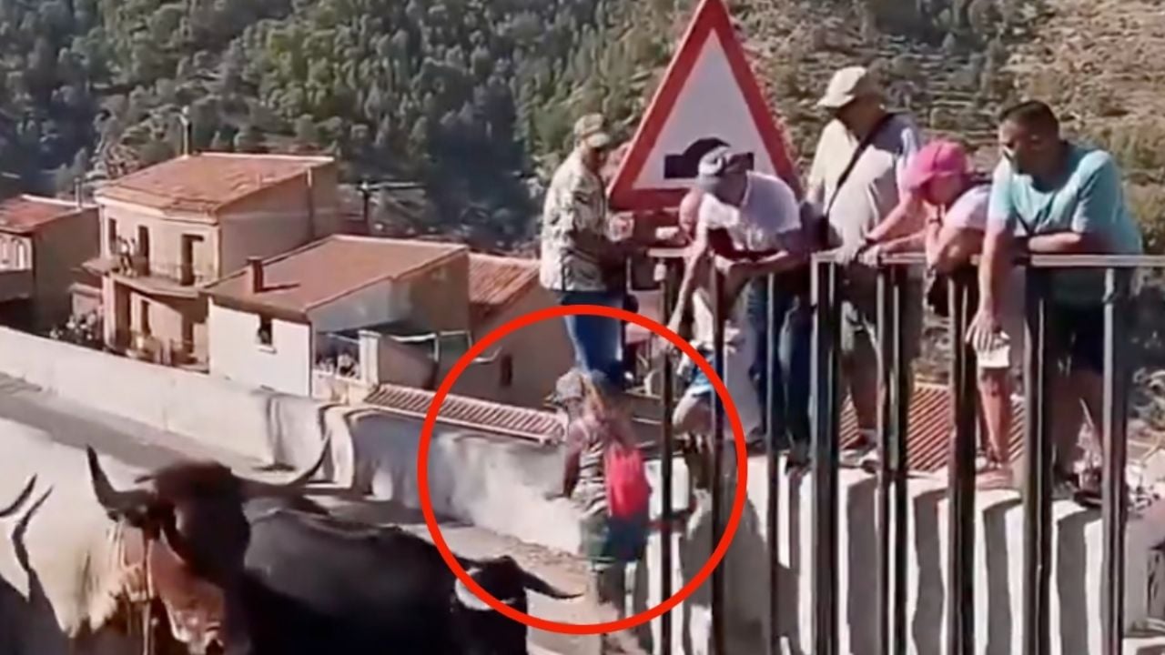 Impactante tragedia en Aýna: el toro que arrebató una vida