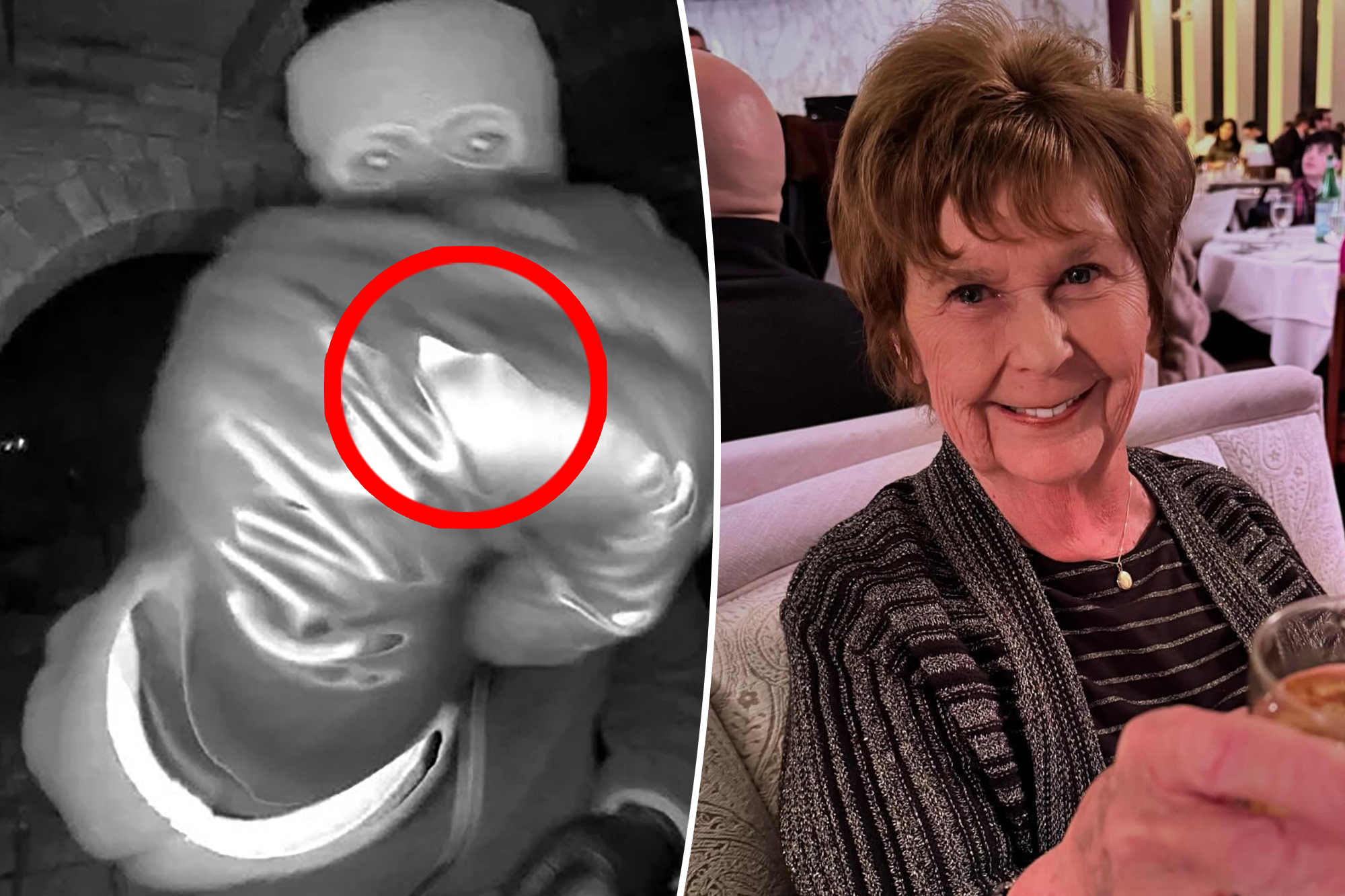 Security Footage of Nancy Guthrie Uncovers Vital Clue in Kidnapper Hunt