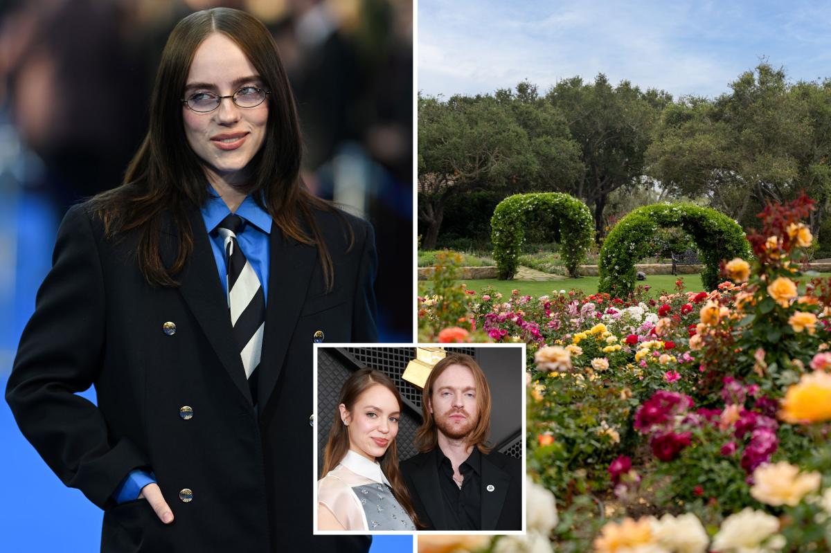 Billie Eilish Criticized for Hosting Brother's Wedding on 'Stolen Land'
