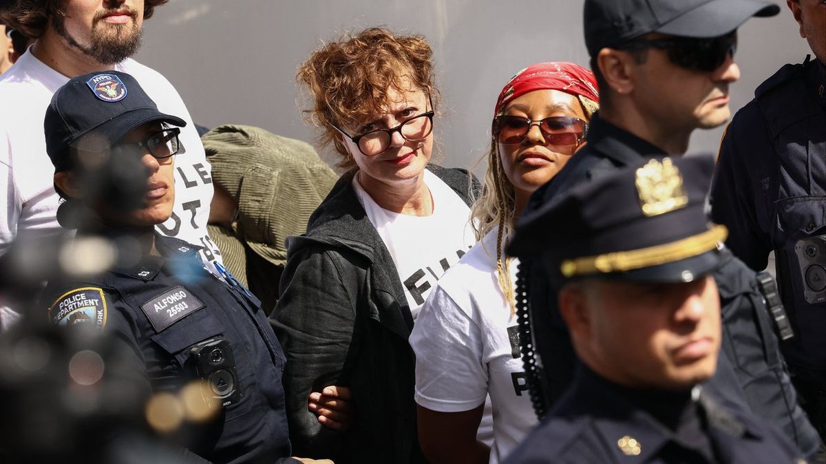 Susan Sarandon Arrested During Fiery UN Protest Against Netanyahu