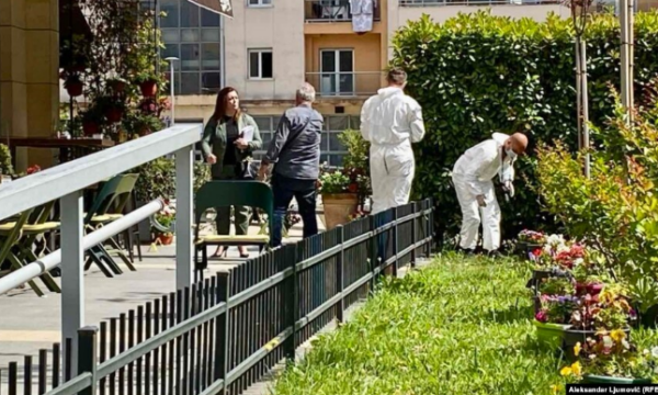 Shocking Murder in Rrogozhinë, the Detail Everyone is Talking About
