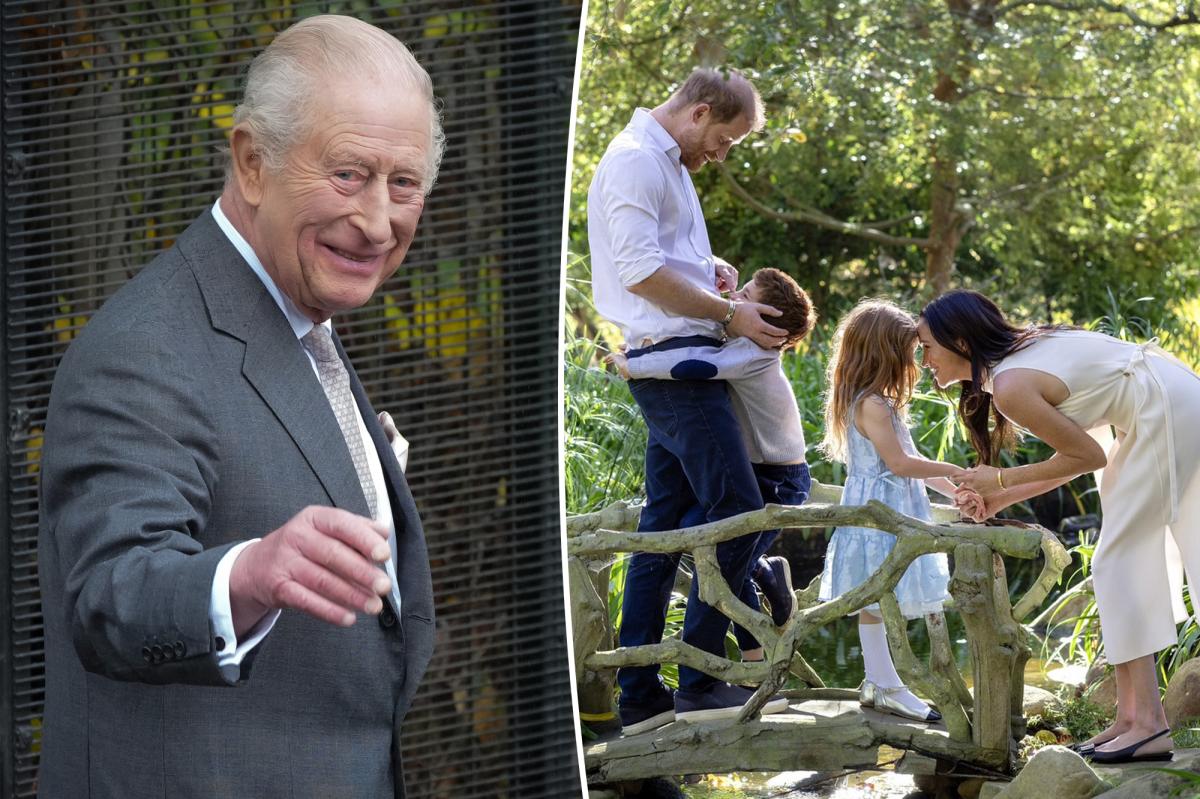 Royal Reunion: What King Charles' Secret Meeting with Harry's Kids Reveals