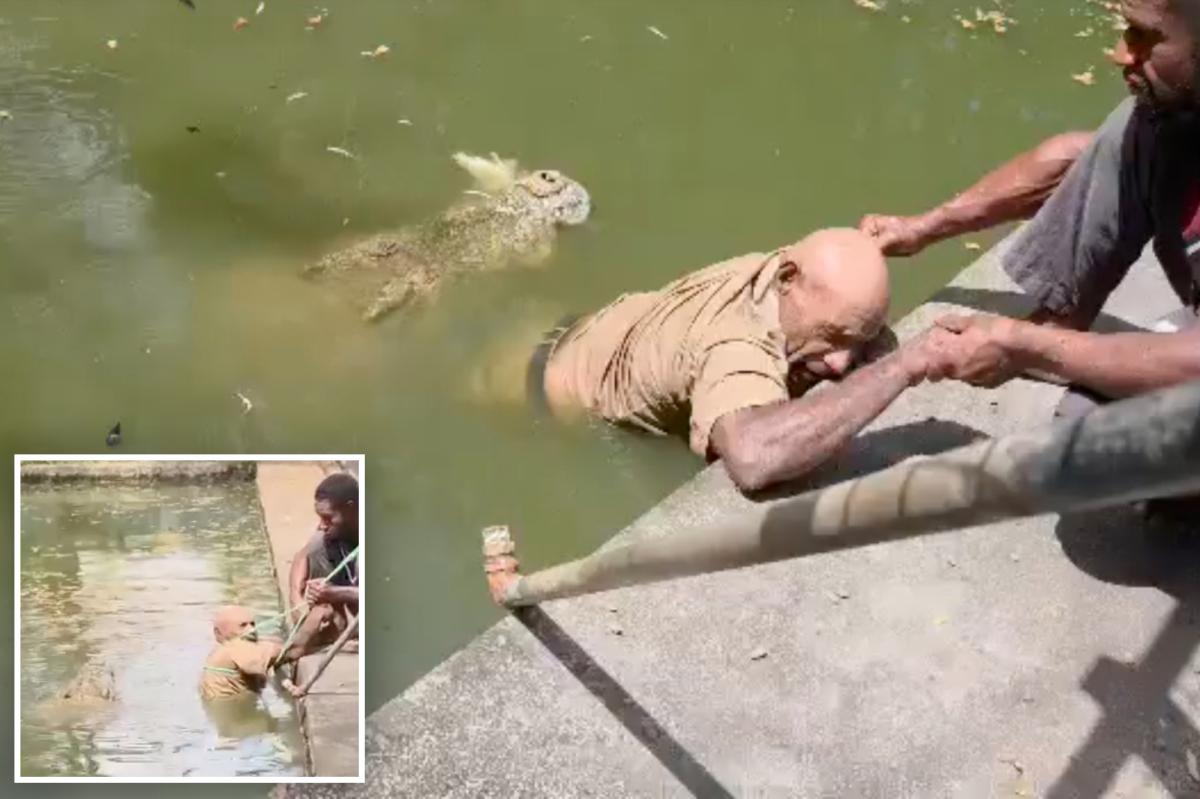 Crocodile Attack at Adventure Park Leaves Onlookers in Shock
