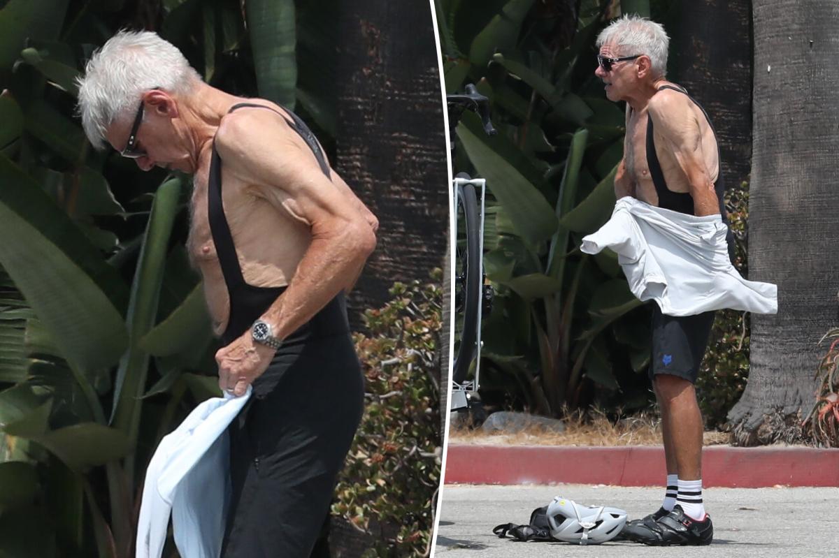 Harrison Ford's Fitness Secret at 83: What Keeps Him Ripped?