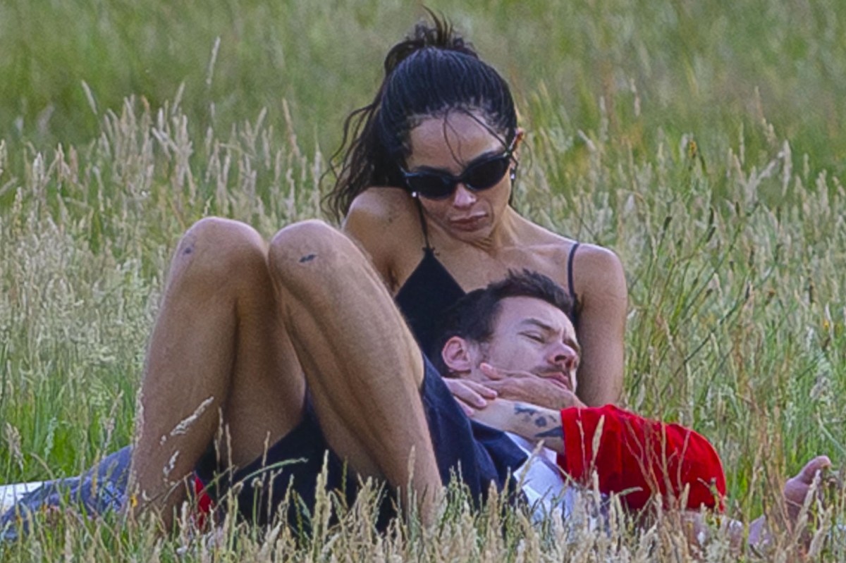 Harry Styles and Zoë Kravitz's Sweet Park Moment Has Fans Talking