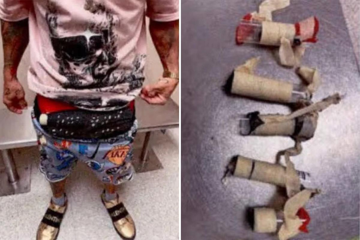 Miami airport passenger accused of hiding 10 live birds in sewn underwear pockets