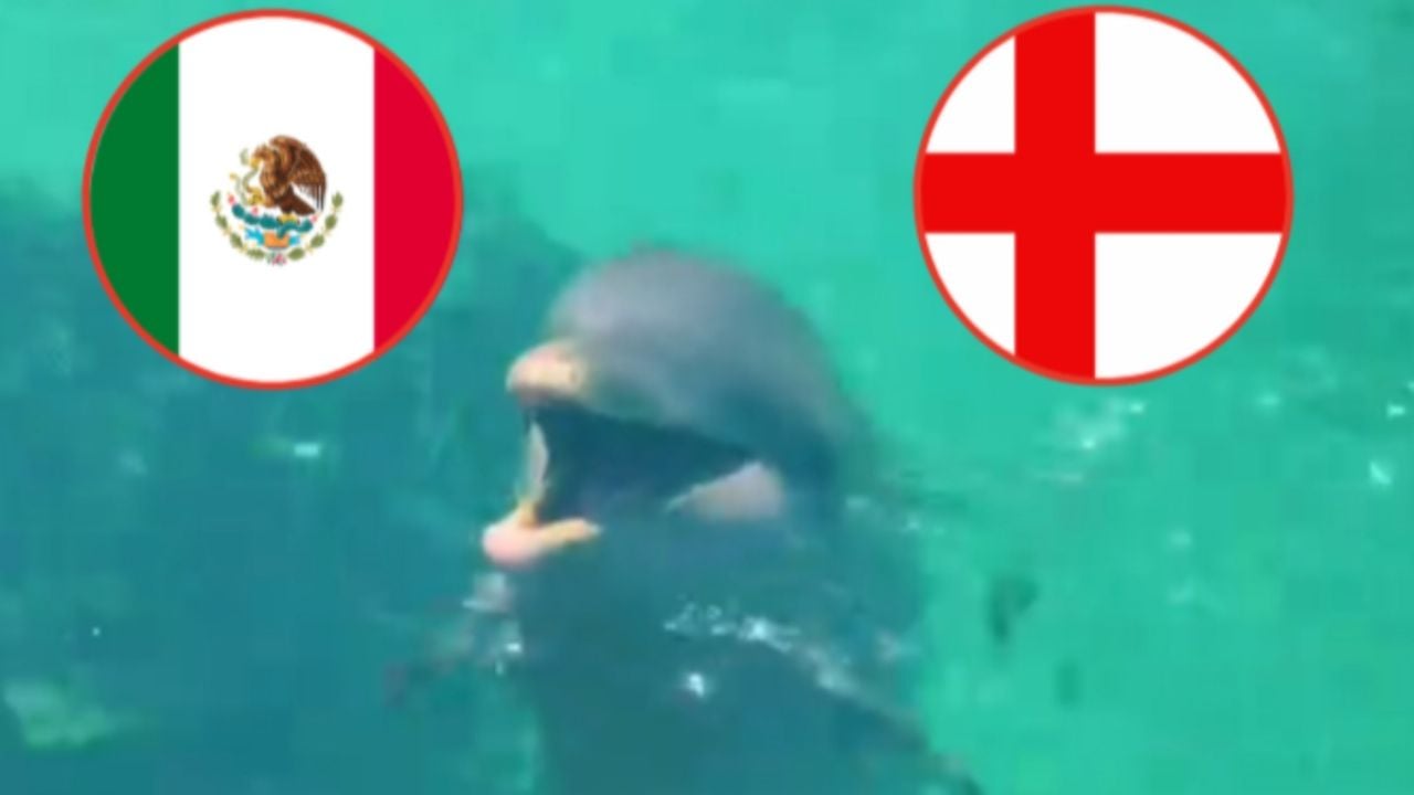 Delfín 'Hidalgo' sorprende con su predicción para México vs Inglaterra