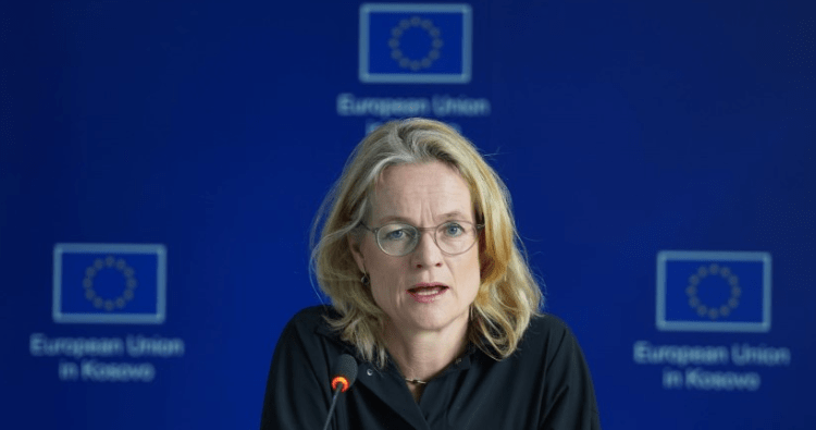 Viola von Cramon's Criticism of Vetëvendosje's 'Digital Army' Sparks Reactions