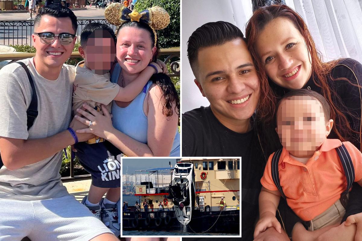 Heartbreak in New York Harbor: Mother's Final Moments Captured