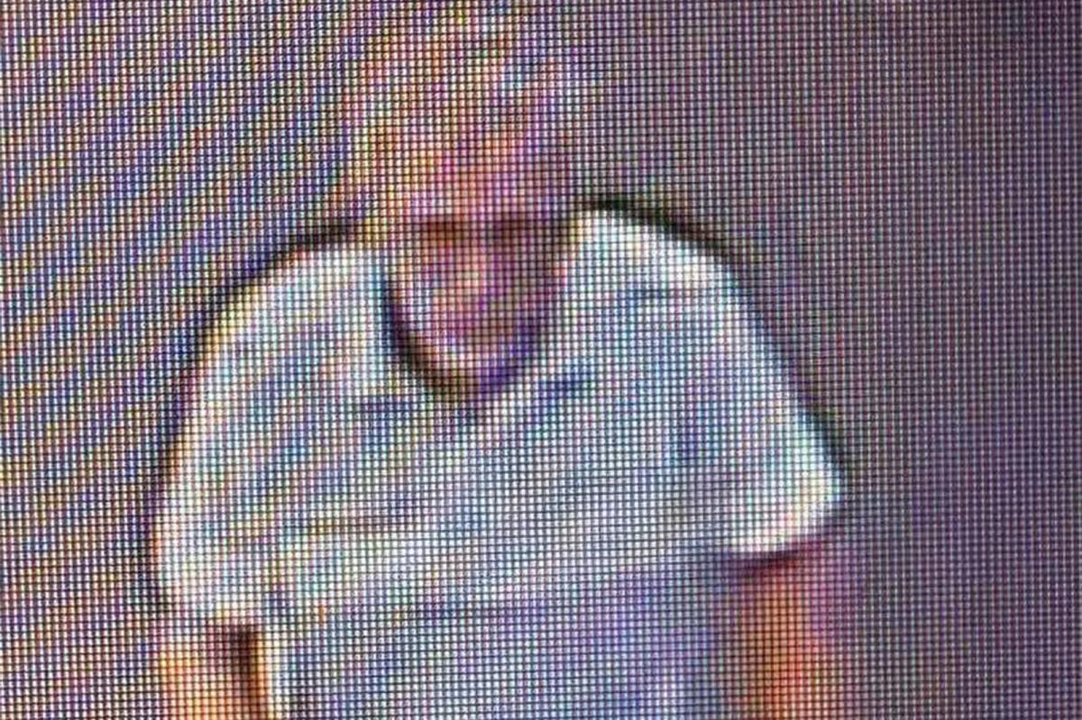 Georgia Police Criticized for Manhunt Over $30 Found on Walmart Floor