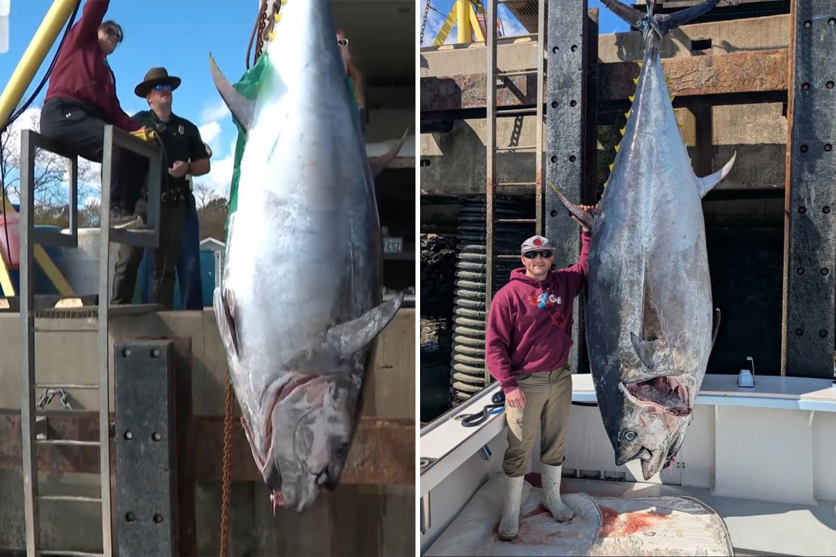Brandon McGirl’s 1,116-Pound Tuna Shatters New Hampshire Record by Over 150 Pounds