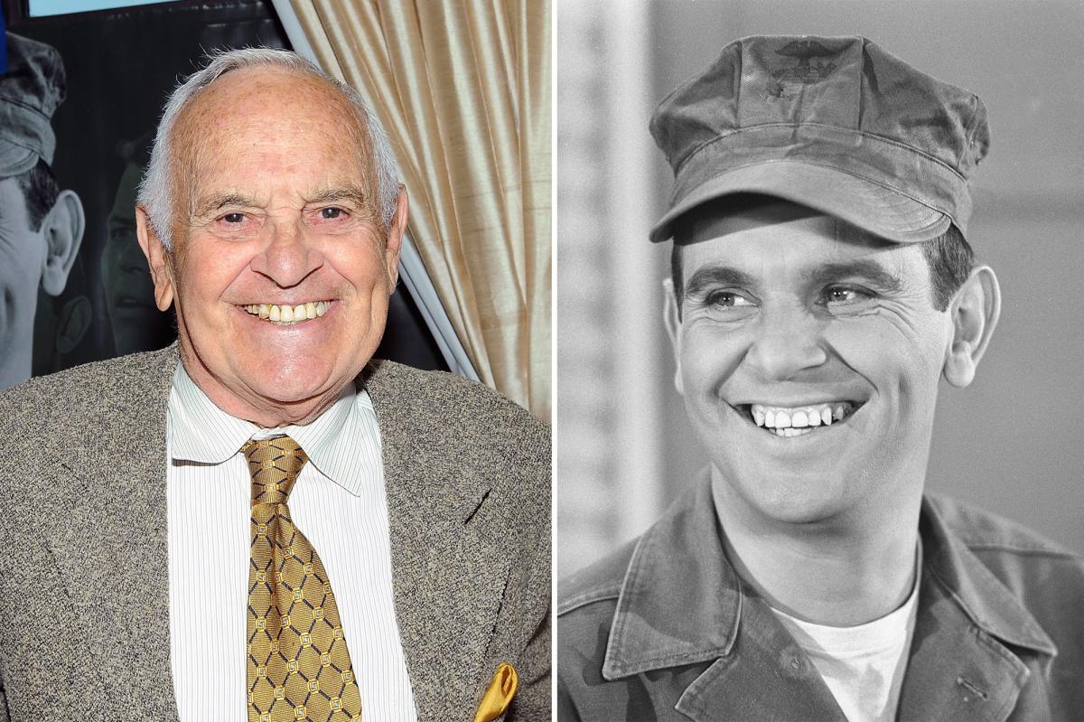 Ronnie Schell: The Comedian Who Took His Time Reaches Final Curtain