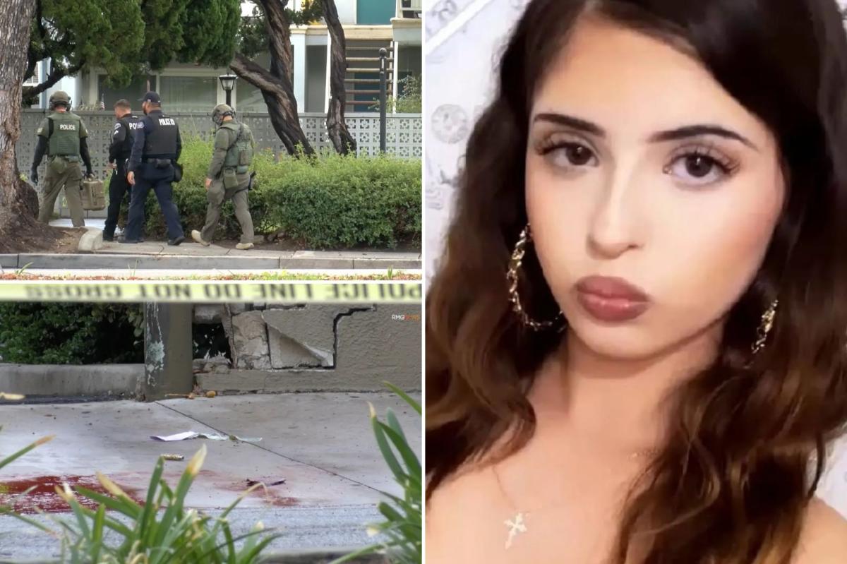 Teen's Breakup with Older Ex Ends in Tragedy in Wealthy LA Suburb