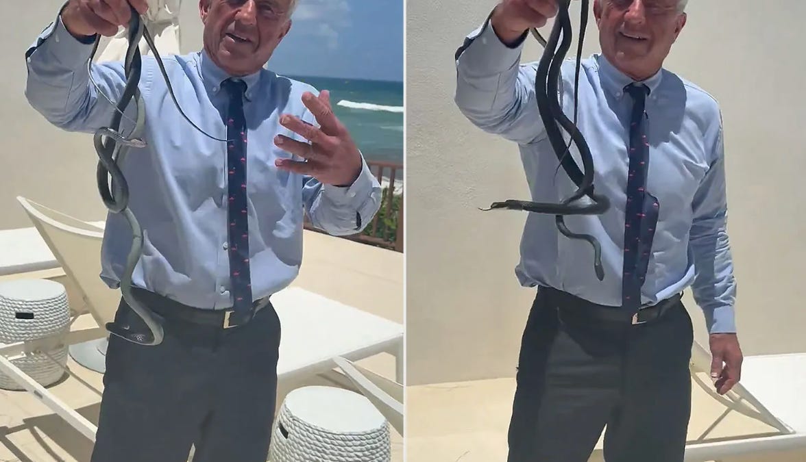 RFK Jr.'s Wild Pool Party Stunt: What Really Happened?