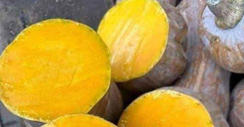 Doctors disclose that consuming pumpkin leads to ...