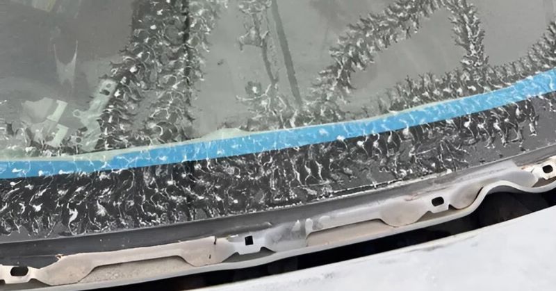 "I Found Unusual Marks on My Car and Was Surprised by the Cause."