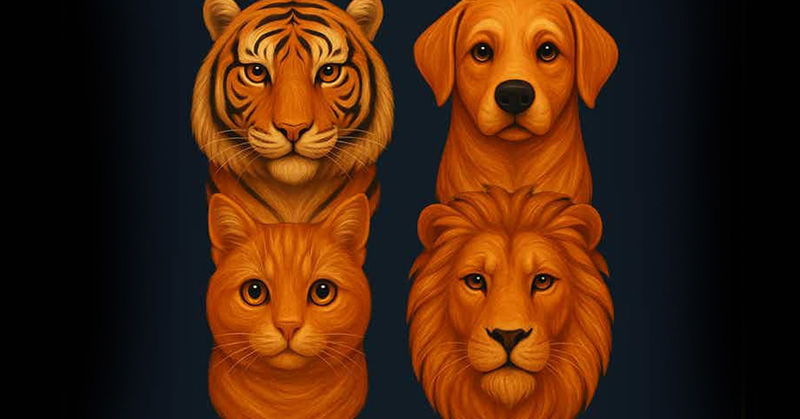 Identify the Unusual Item to Determine if You Have Narcissistic Traits