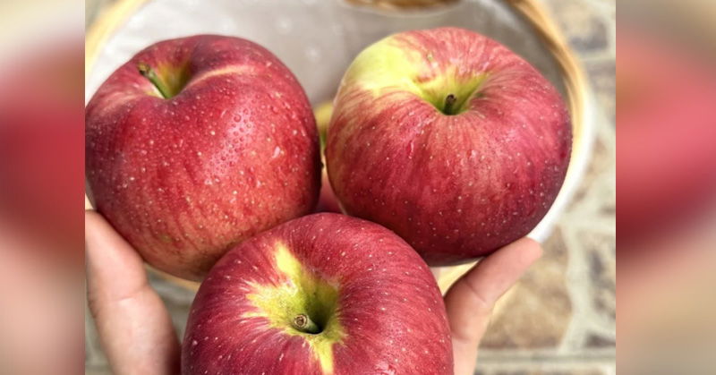 Doctors reveal that eating apples causes...