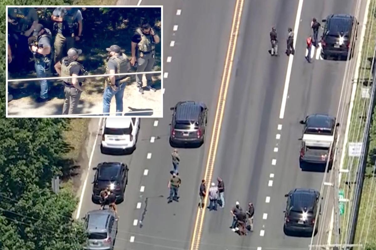 Chaos in New Jersey: ICE Agent Struck by Van, Gunfire Erupts