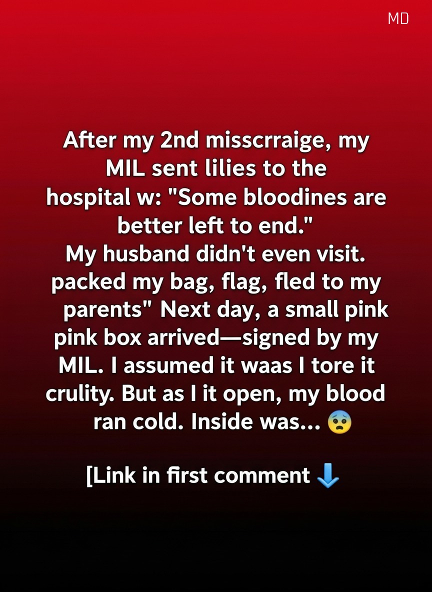 Family Healing Begins with a Small Pink Box: A Heartwarming Misunderstanding